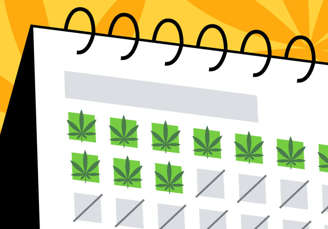 Why Your Cannabis Tolerance Break Keeps Failing (And the 3-Step System That Works)