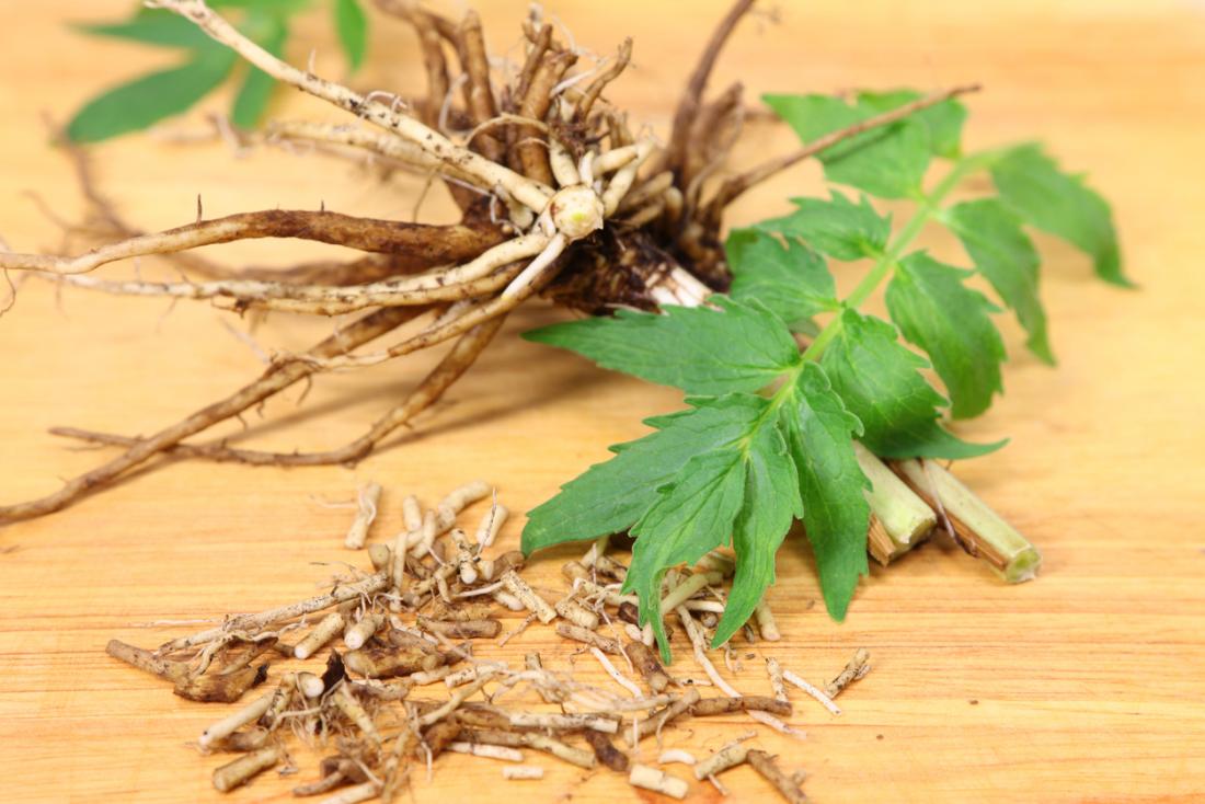 Valerian Root Capsules: A Natural Remedy for Easing Anxiety and Insomnia During Cannabis Withdrawal