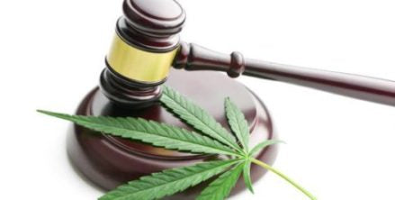 The Legal Landscape of Marijuana: Understanding Your Rights and Responsibilities