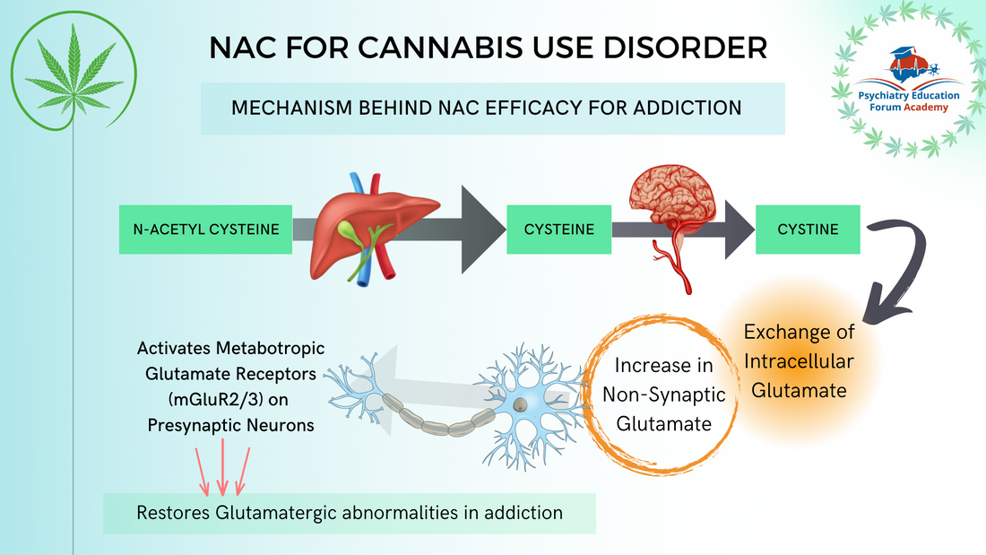 Breaking Free: How Emerging Supplements Like N-Acetylcysteine Are Supporting Cannabis Cessation