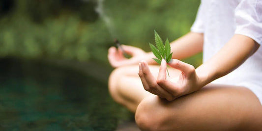 Mindfulness and Marijuana: Integrating Meditation Practices into Your Recovery Journey