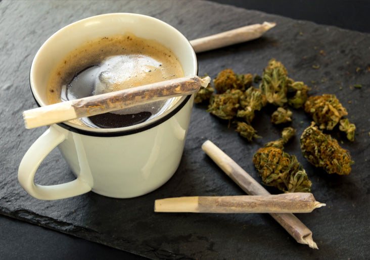 Breaking the Wake-and-Bake Cycle: Why Morning Use Is Your Biggest Obstacle