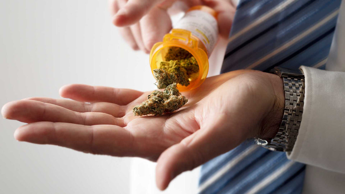 The Hidden Costs of Daily Marijuana Use: Long-Term Health Risks