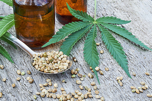 Understanding the Role of CBD in Cannabis Withdrawal: Myths and Facts