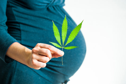 Cannabis Use and Pregnancy: What You Need to Know